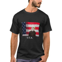 Eagle chauve et le drapeau américain
