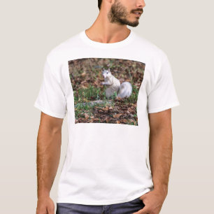 T-shirt Écureuil blanc de Brevard