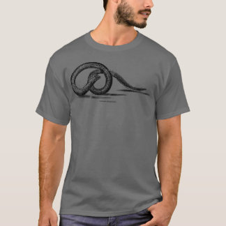 T-shirt Eel