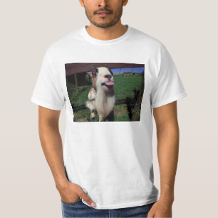 T-shirt effronté de chèvre