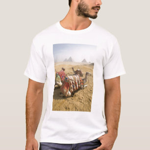 T-shirt Égypte, Le Caire. Chameaux au repos