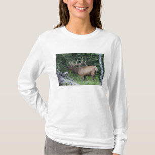 T-shirt Élan bugling dans le parc national de Banff, Canad