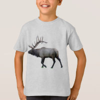 Élans de wapiti de saule