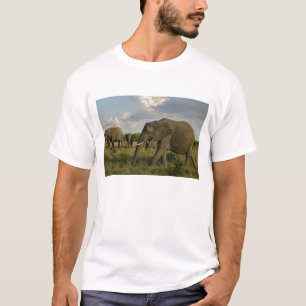 T-shirt Eléphants africains, Loxodonta africana,