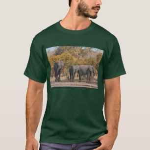 T-shirt Éléphants de Kruger