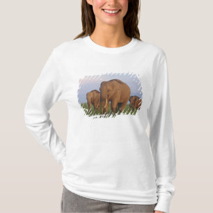 T-shirt Éléphants indiens dans la prairie