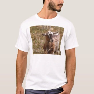 T-shirt Élevage des chèvres