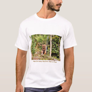 T-shirt Elk mâle dans le parc national des Rocheuses, Colo