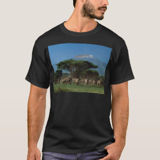 T-shirt Elphants du Mont Kilimandjaro