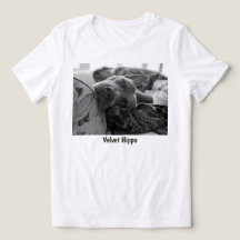 Amour de Pit Bull Velours Hippopotame