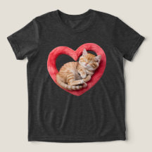 Chat Adorable Endormi Cœur Fourré