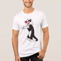 Plaques de frottement SYLVESTER™