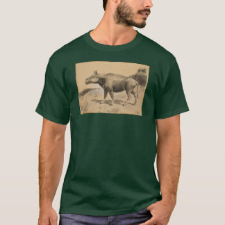 T-shirt Entelodont