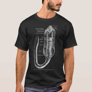 T-shirt Entomologie vintage Anatomie du ver de terre