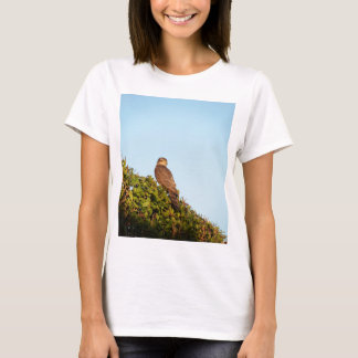 T-shirt Épervier