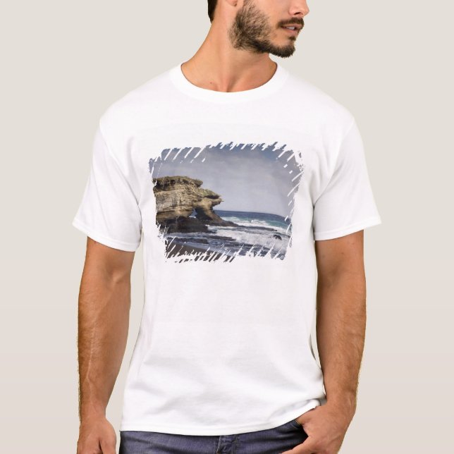 T-shirt Equateur, Galapagos, Santiago alias James). (Devant)
