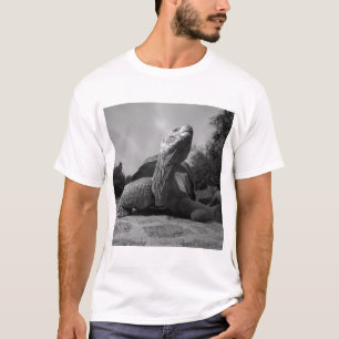 T-shirt Équateur, Parc national des îles Galapagos, Santa