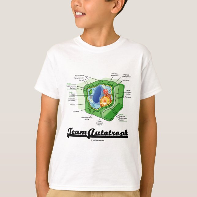 T-shirt Équipe Autotroph (biologie cellulaire de plante) (Devant)