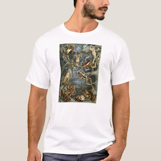 T-shirt Ernst Haeckel - Batrachia (Devant)