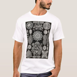 T-shirt Ernst Haeckel - Diatomea2