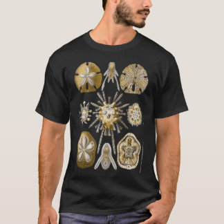 T-shirt Ernst Haeckel - Illustration scientifique -