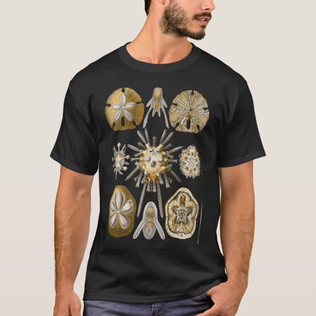 T-shirt Ernst Haeckel - Illustration scientifique - (Devant)