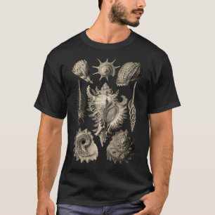 T-shirt Ernst Haeckel Prosobranchia Sea Shells