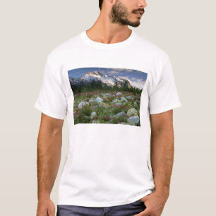 T-shirt États-Unis, Alaska, Alsek-Tatshenshini Wilderness.