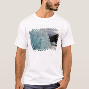 T-shirt États-Unis, Alaska, Forêt nationale de Tongass, Tr