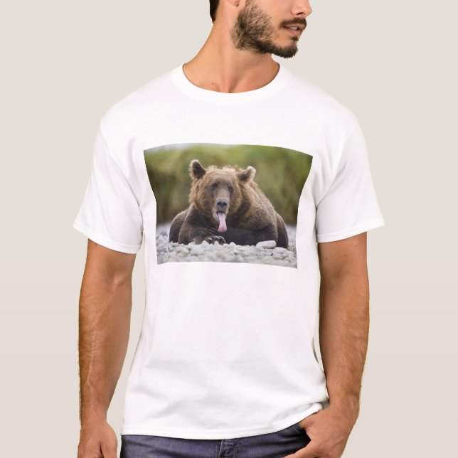 T-shirt États-Unis, Alaska, Parc national de Katmai, baie  (Devant)