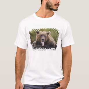 T-shirt États-Unis, Alaska, Parc national de Katmai, baie 