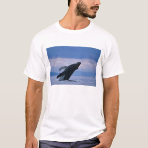 T-shirt États-Unis, Alaska, Tongass National Forest, Bossu