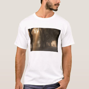 T-shirt États-Unis; Amérique du Nord; Géorgie; Savannah. G