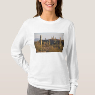 T-shirt États-Unis, Arizona, désert de Sonora, Ajo, Ajo 2