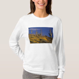 T-shirt États-Unis, Arizona, Organ Pipe Cactus National 2
