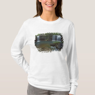 T-shirt États-Unis, Arkansas, Ozark- St Francis National