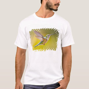 T-shirt États-Unis, Colorado, comté de Summit, Heeney. Vue