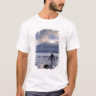 T-shirt États-Unis, État de Washington, Parc national Olym