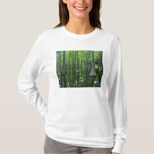 T-shirt États-Unis, Floride, Forêt nationale d'Apalachicol