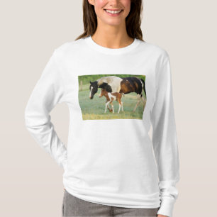 T-shirt États-Unis, Floride, Poulain Paint nouveau-né