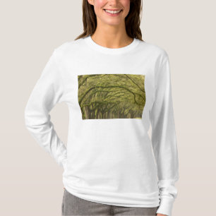 T-shirt États-Unis; Géorgie; Savannah. Chênes avec
