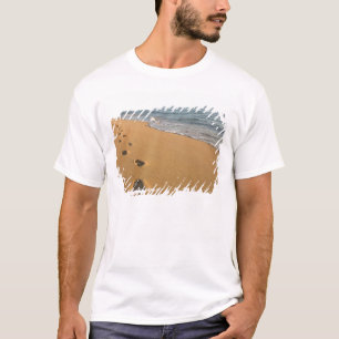 T-shirt États-Unis, Hawaï, Kauai, Kapa'a, bord de mer. RF)