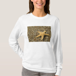 T-shirt États-Unis, HI, Kauai, Glass Beach avec étoile de