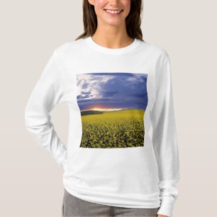 T-shirt États-Unis, Idaho, Swan Valley. Un coucher de sole