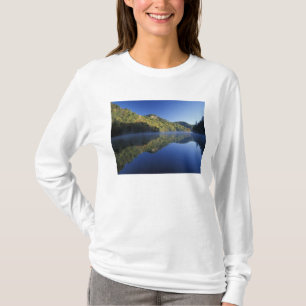 T-shirt États-Unis, Kentucky. Forêt nationale Daniel Boone