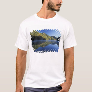 T-shirt États-Unis, Kentucky. Forêt nationale Daniel Boone