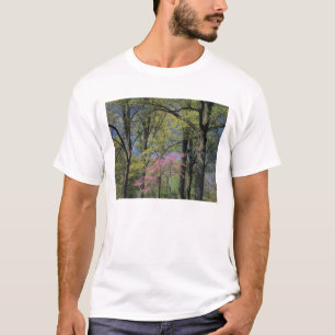 T-shirt États-Unis, Kentucky, Louisville. Cercis canadensi