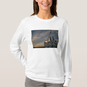 T-shirt États-Unis, Massachusetts, Boston. Couleurs de la
