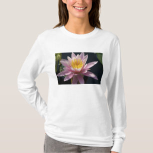 T-shirt États-Unis, Massachusetts, Great Barrington, feuil