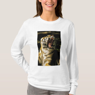 T-shirt États-Unis, Michigan, Detroit. Zoo de Detroit, tig